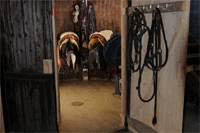 Originelle Sattelkammer im umgebauten Silo